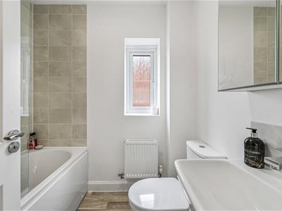 Picture 16